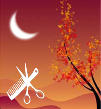 Лунный календарь стрижек на октябрь 2012 года