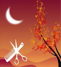 Лунный календарь стрижек на ноябрь 2012 года
